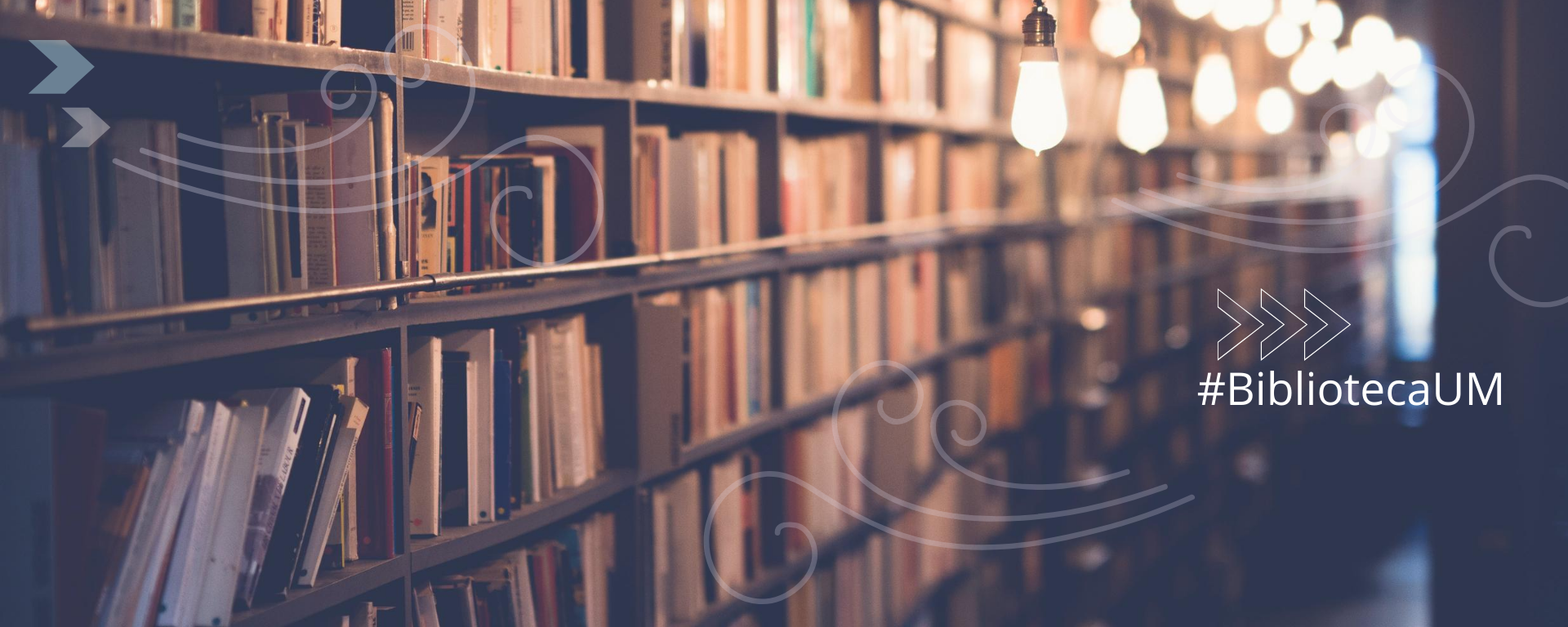 Biblioteca en la noche Biblioteca en la noche