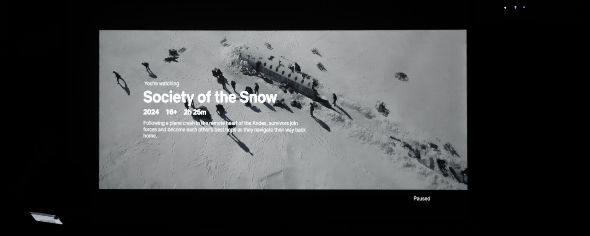 Diego Sardi: “La Sociedad de la Nieve es una historia sobre historias”