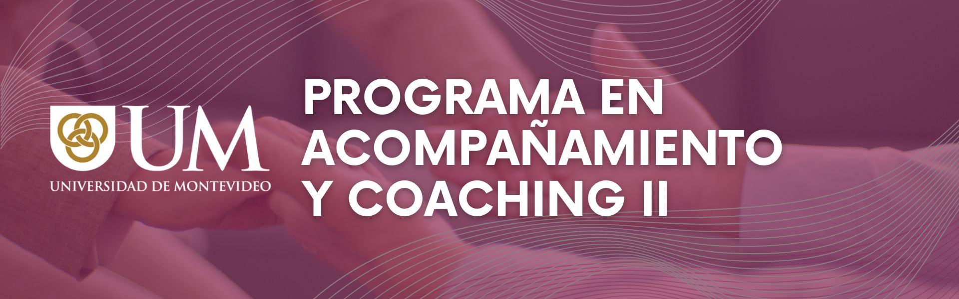 Programa en Acompañamiento y Coaching II