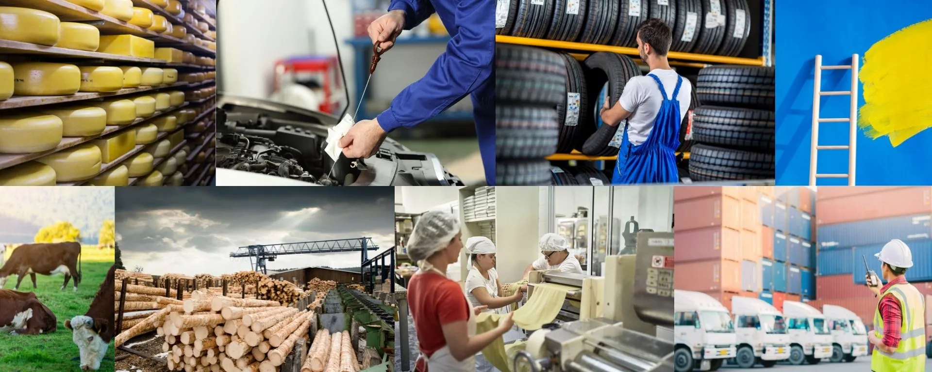 Collage de fotos: estantes con queso, escena en taller mecánico, recicladora de neumáticos, pintura y escalera; ganado, aserradero, fábrica de pastas y empresa logística de transporte con camiones Collage de fotos: estantes con queso, escena en taller mecánico, recicladora de neumáticos, pintura y escalera; ganado, aserradero, fábrica de pastas y empresa logística de transporte con camiones