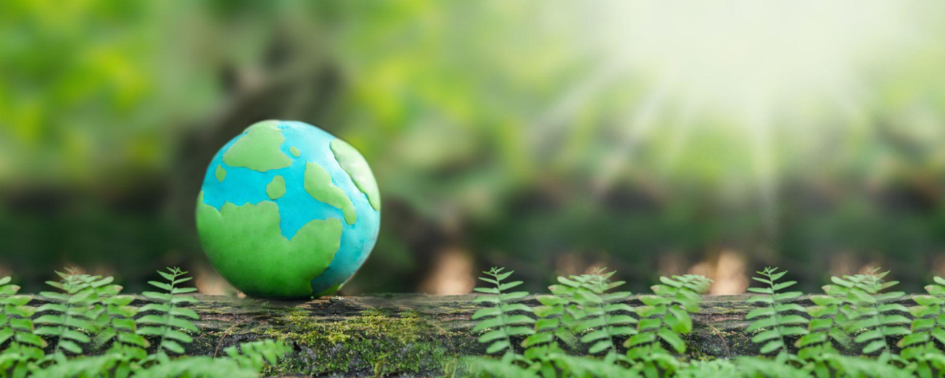 Expertos expusieron sobre la necesidad de una producción sostenible Expertos expusieron sobre la necesidad de una producción sostenible